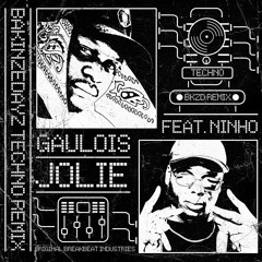 GAULOIS feat. NINHO - Jolie (BAKINZEDAYZ Techno Remix)