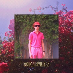 DISCOLOVE (prod. pandrs)