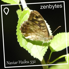 wordless shadow of a butterfly - Naviarhaiku 532