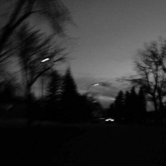 ‎⁨قلبي الذي أودعتُهُ نبض الهوى…⁩