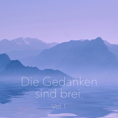 Die Gedanken sind Brei. Vol.1