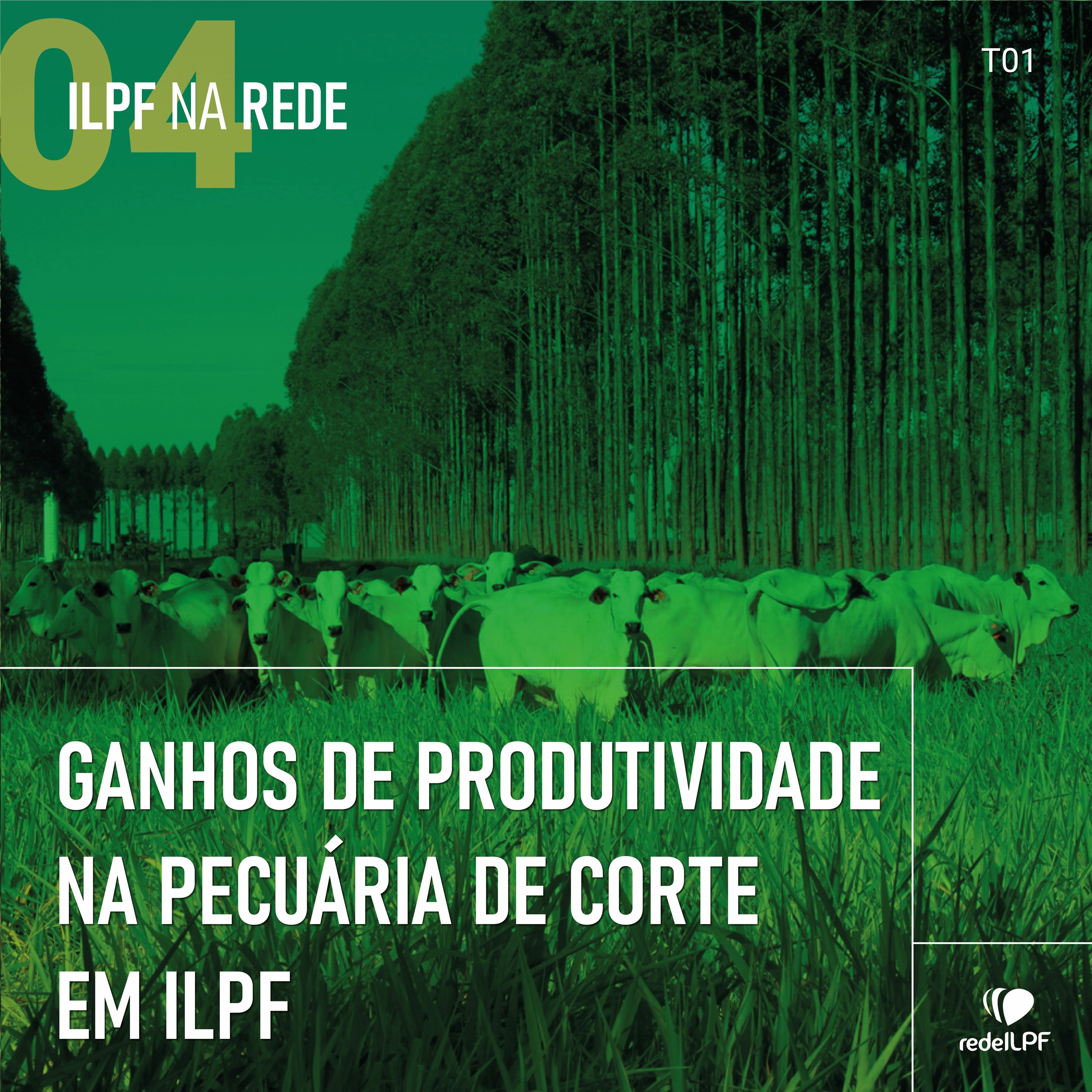 ILPF Na Rede