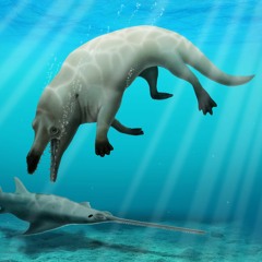 A semiaquatic whale lived 43 million years ago named it after Anubis, the Egyptian god of death.