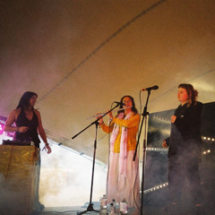 Synechoes Live at Entropie Festival 2025