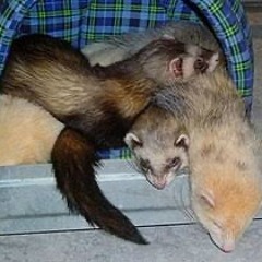 Next Round [Prod neoprada]