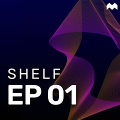Shelf X Sanne Bolkenstein - Experience Stack for eCommerce in 2023 & Beyond