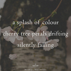 a splash of colour (Naviarhaiku 585 )