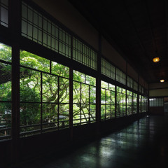 Nightingale Corridors