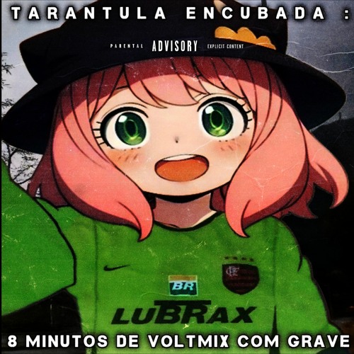 8 MINUTOS DE VOLTMIX COM GRAVE | TARANTULA