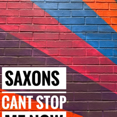 Saxons - You Cant Stop (Original Mix)