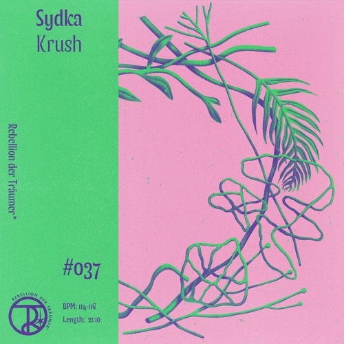 PREMIERE: Sydka - Passions [RDT037]