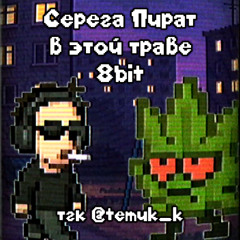 Серега Пират — В этой траве (8bit)