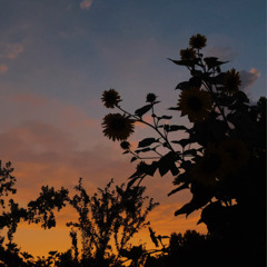 Iredale (Feat. Thad Hamilton)