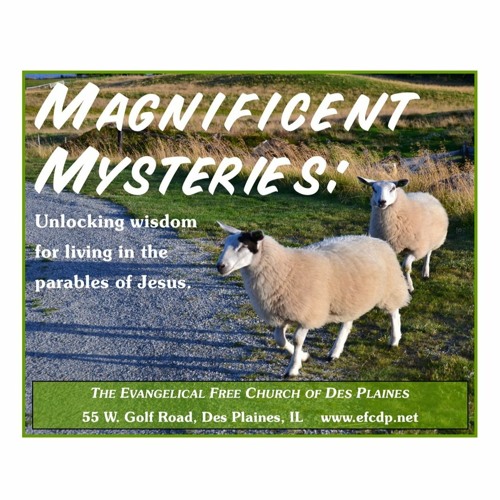 21 01 24 How To Hear With Your Heart Luke 8 4 15 By Steven Hjelle