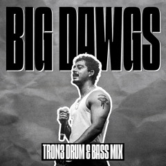 Big Dawgs (Hanumankind) - TRON3 Drum & Bass Mix