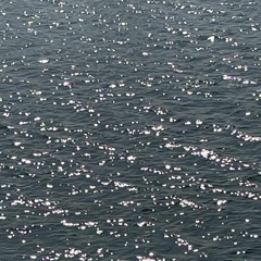 바닷가 (cover)