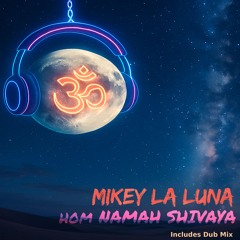 Om Namah Shivaya