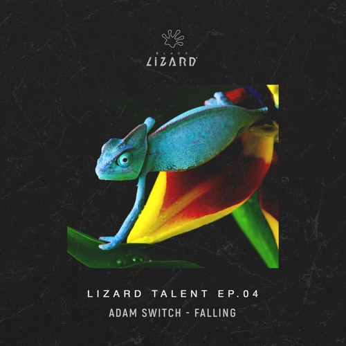 Adam Switch - Falling [OUT NOW]