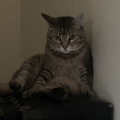 h̴̤̄i̴̼̎g̵̬͗h̸̞͗ ̵̳̆r̶̛͚i̶̟͝s̴͑͜k̶̖̇