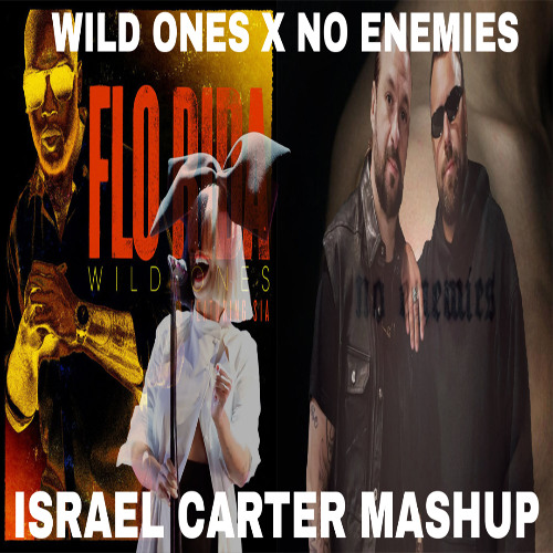 Sebastian Ingrosso & Steve Angello x Flo Rida & Sia-No Enemies x Wild Ones (Israel Carter Mashup)
