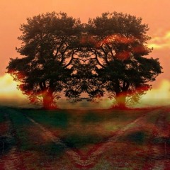 song of the pines