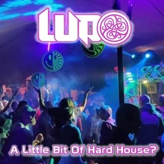 Ludo - A Little Bit Of Hard House?