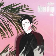 doVicente - Mess It Up