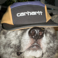 carhartt / bad intentions