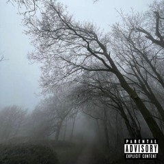 MESSYIMMORTAL - MAKEITOUT (7POINT)