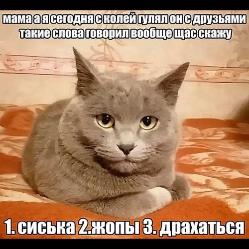 4 минуты фристайл