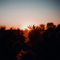 Embracing Change & New Beginnings