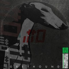 itt0 - Greyhound