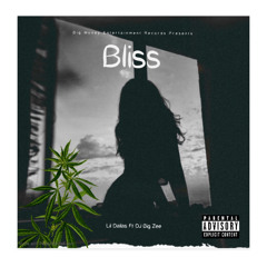 Lil Dallas Bliss Ft DJ Big Zee