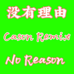 NO REASON (没有理由)-CASON Remix .mp3