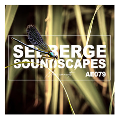 Seeberge Podcast - AE079
