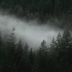 Speed of Sound: 5