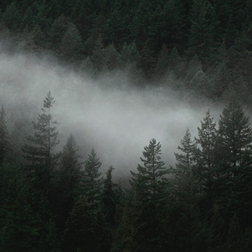 Speed of Sound: 5
