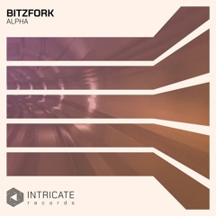 Bitzfork - Wormhole (Original Mix)