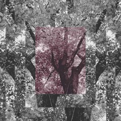 Cometa (Original Mix)