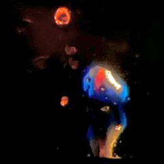 bluparti.wav08_SEMOA