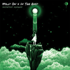 FREE DOWNLOAD - Justin Bieber - Hold On x Dabin, Said the Sky, Clara Mae - In the End (Jason Ross Remix) [UNDEFYND MASHUP]
