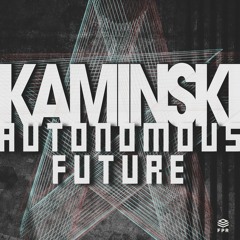 Kaminski - Affektkontrolle (Original)