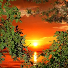 𝖛𝖊𝖓𝖙𝖚𝖗𝖆 𝖒𝖆𝖝𝖎𝖒𝖆