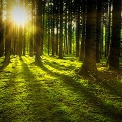 Journey to the Goddess Meditation
