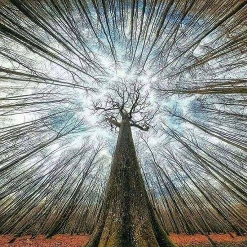 Anahata Beatspeaker - Ascension (teaser)