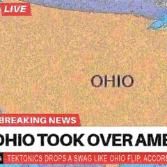 swaglikeOHIO (Tektonics flip)[freeDL]