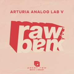 RAW BANK VOL.1 - Analog Lab V expansion