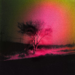 (ﾉ◕ヮ◕)ﾉ*:･ﾟ✧