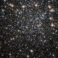 Starfield