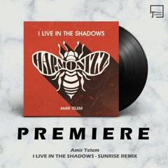 PREMIERE: Amir Telem - I Live In The Shadows (Sunrise Remix) [HARMONIZZ RECORDS]